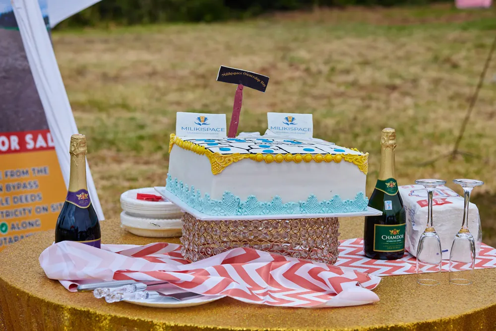 The celebration cake