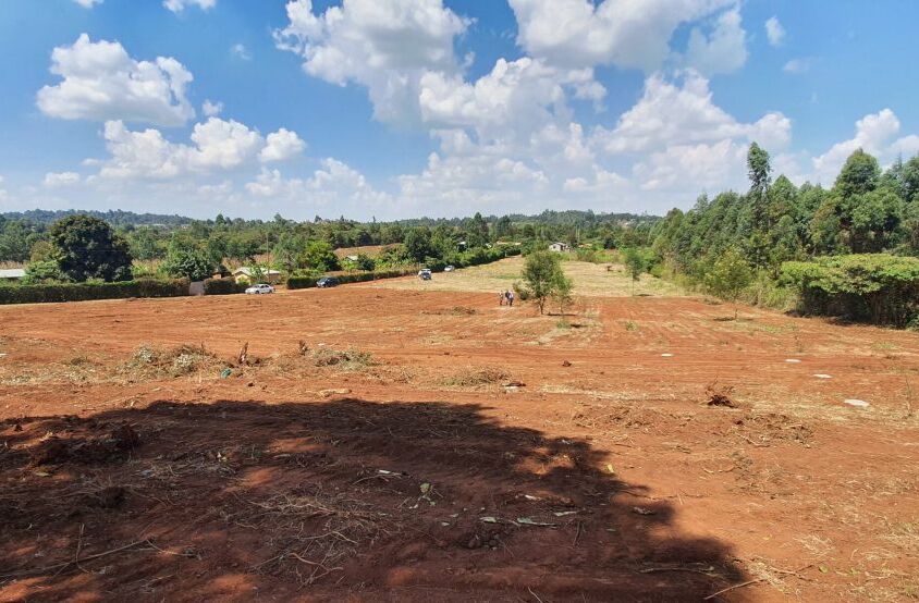 Nairobi Ndogo Estate Phase I